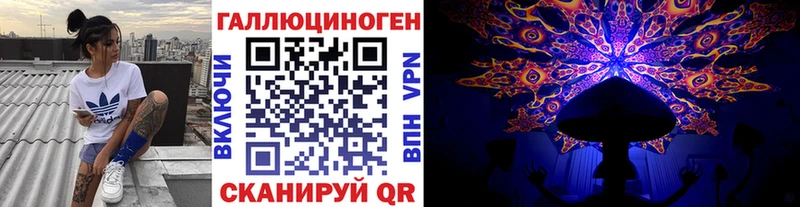 Купить закладки  Белокуриха  Псилоцибиновые грибы GOLDEN TEACHER 